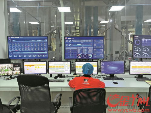 東莞數(shù)字經(jīng)濟(jì)賦能傳統(tǒng)制造 150秒完成大米樣品快速檢測