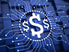 楊望 以數字貨幣破題普惠金融，數字技術服務實體經濟新路徑